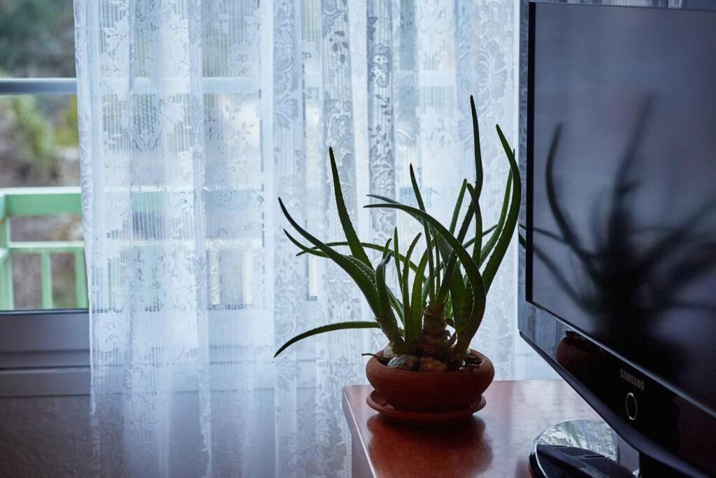 Art Luxury Designer Apartment Dráma エクステリア 写真